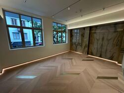 Boat Quay Conservation Area (D1), Shop House #530431081